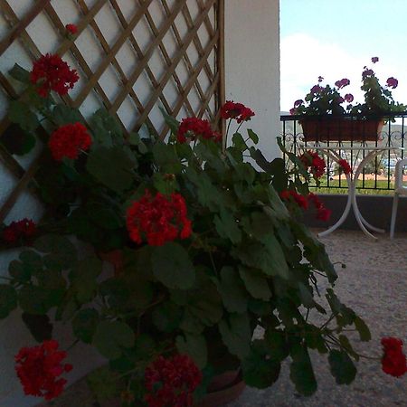 El Capitan Hotell Porto Koufo Rum bild