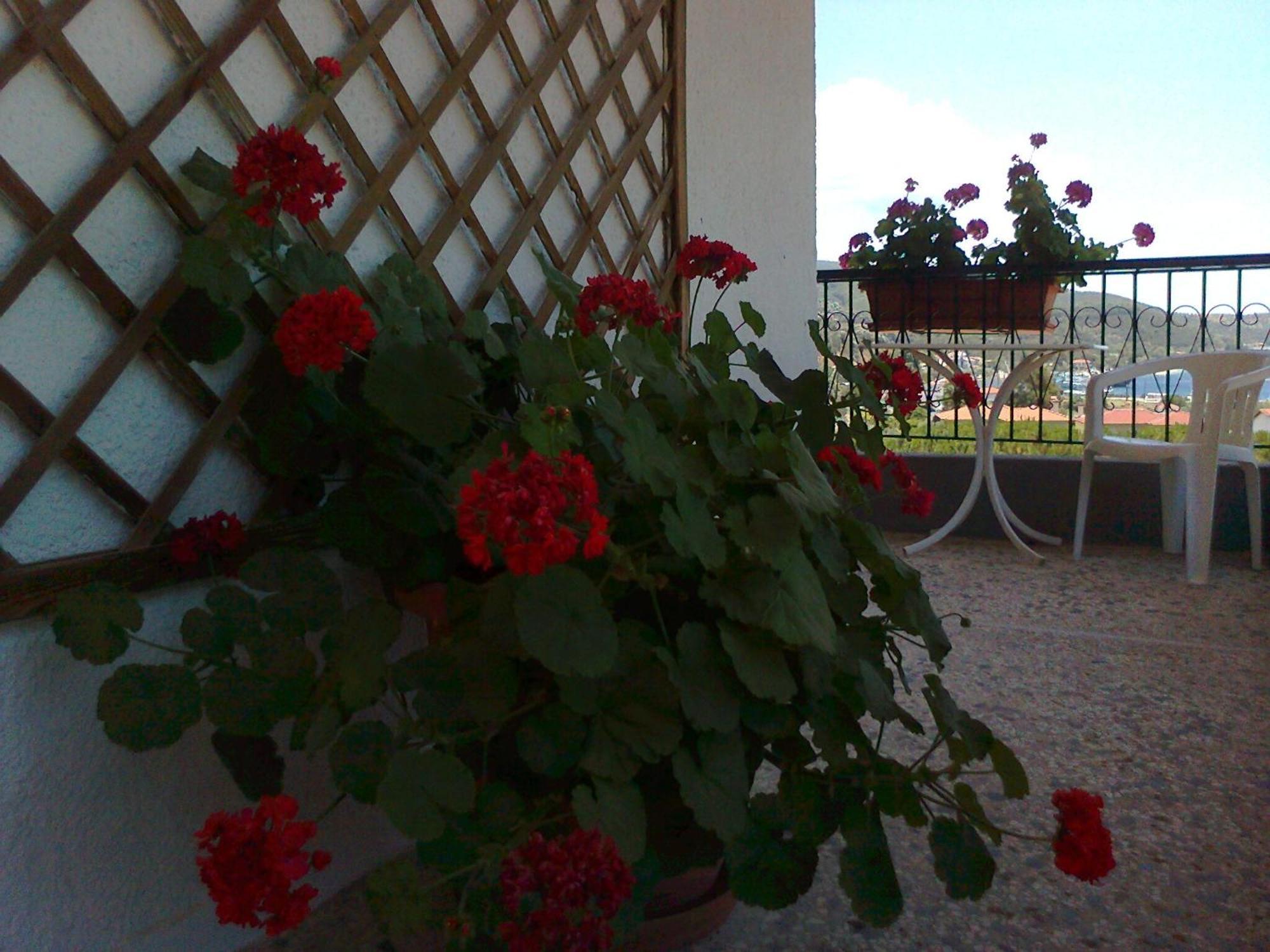 El Capitan Hotell Porto Koufo Rum bild